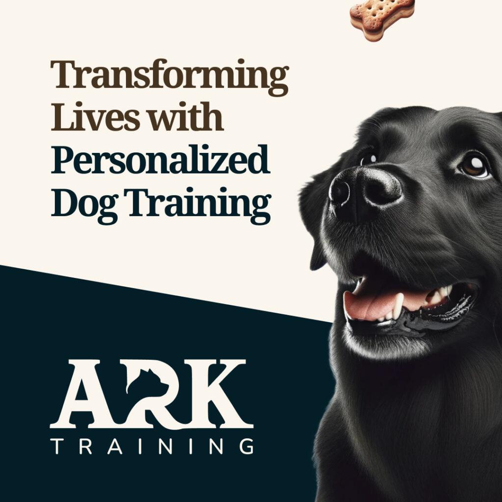 ARK Training Square Image