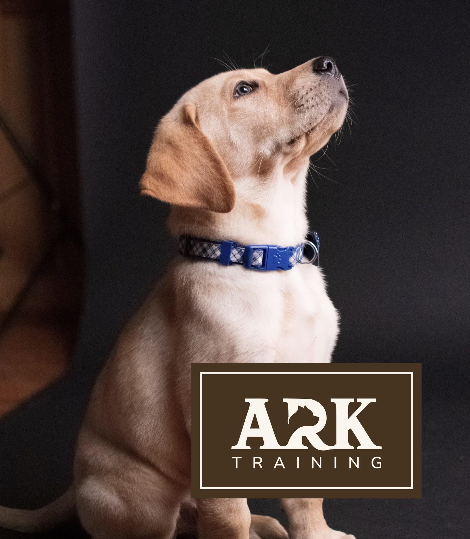 Logo design for a dog training academy, featuring a clean and impactful design with a dog and whistle. This logo represents the precision and authority of professional dog training services, suitable for a wide range of digital platforms