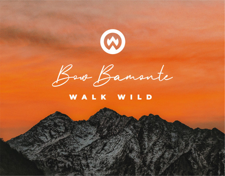 Dream Engine Branding and Website Design - Walk Wild - Icon