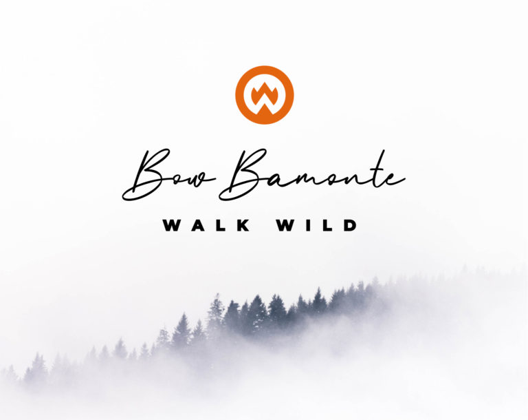 Dream Engine Branding and Website Design - Walk Wild - Icon